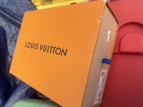 Louis vuitton skate sneaker - louis,